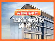 苏州工业园区奥体天誉东方楼盘新房真实图片