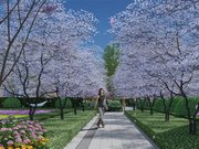 高密高密市高密市上合悦澜湾楼盘新房真实图片
