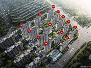 洛阳涧西区上海市场济钢旭辉尊府楼盘新房真实图片