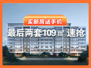 苏州工业园区湖东保利天汇楼盘新房真实图片