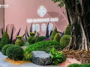 广州海珠区南洲绿城馥香园楼盘新房真实图片