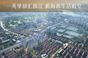 徐汇区长桥海上·清和玺楼盘新房真实图片