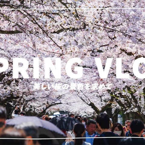 Vlog系サンプル