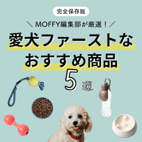 Instagramフィード投稿