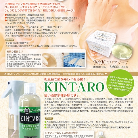 石鹸チラシデザイン
