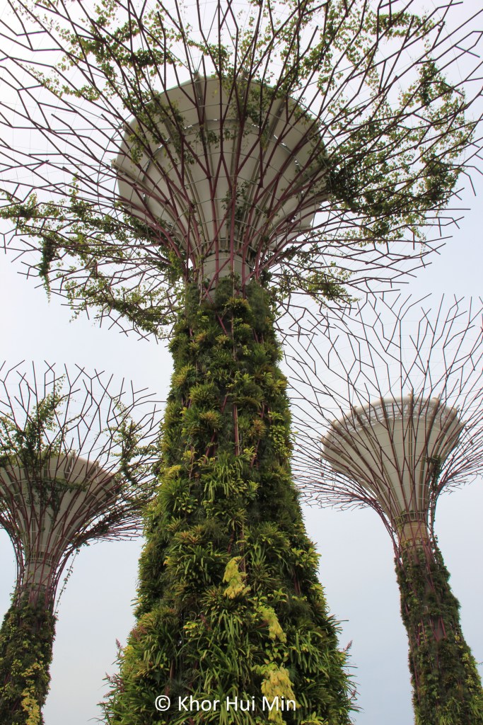 Gardens by the Bay, Singapore