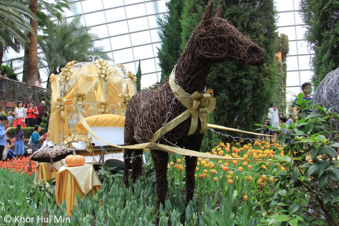 Tulipmania @ Flower Dome, Gardens by the Bay, Singapore