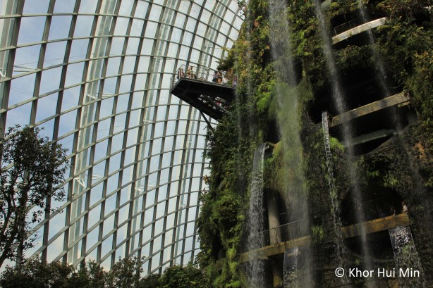 Cloud Forest @ Cool-Moist Conservatory