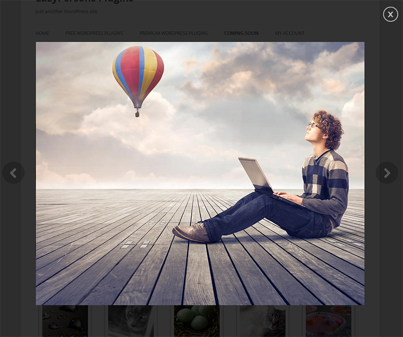 Image in Lightbox