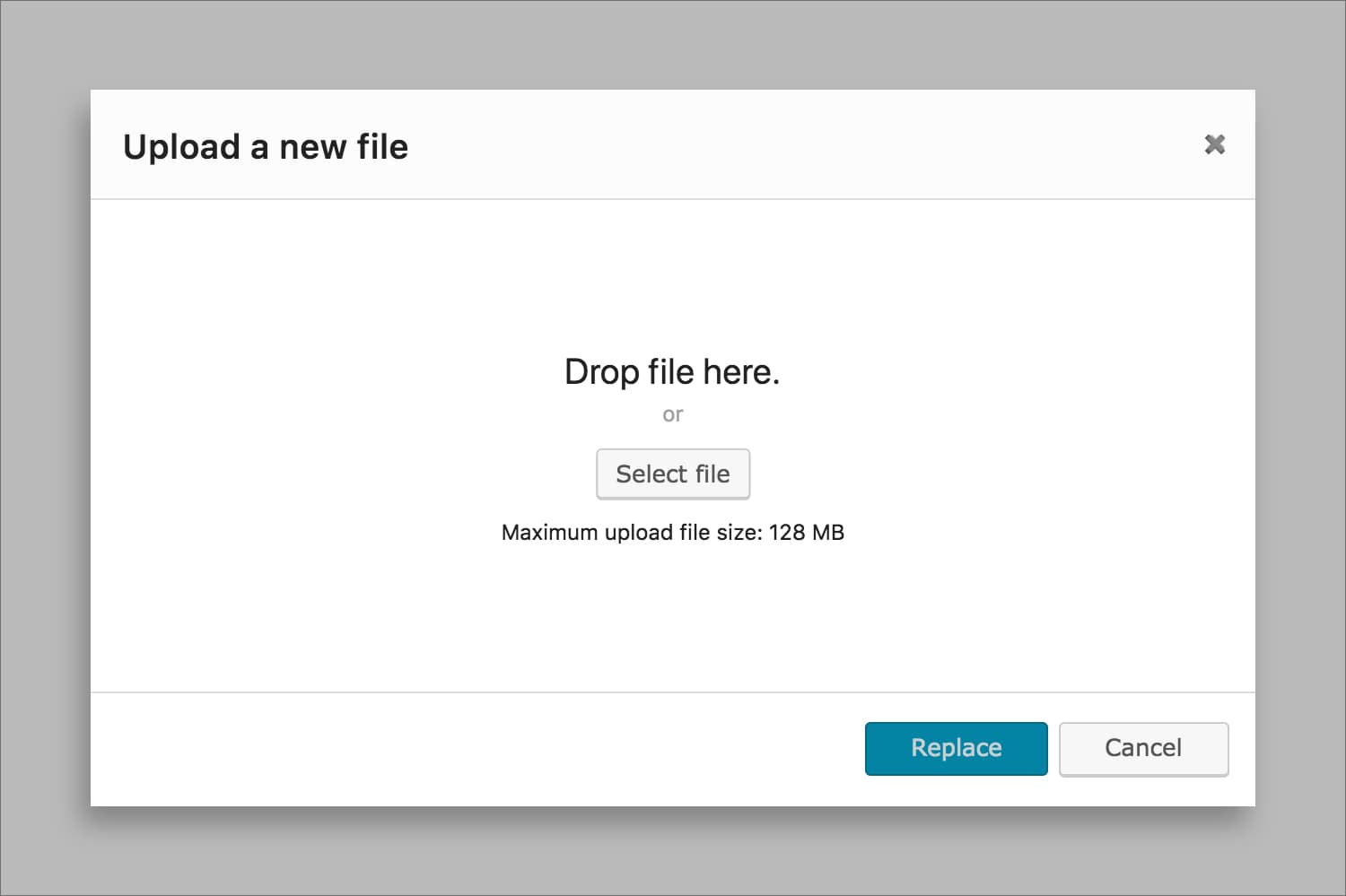 Replace Dialog (Upload new file).