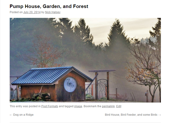 Featured image in an image-format post with only a title and featured, displayed in Twenty Ten (which doesn't support featured images). Without the plugin, only the post title displays.
