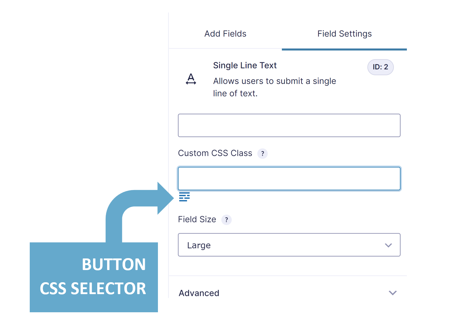 The button that gets added in the advanced tab