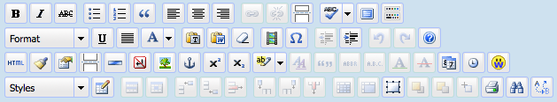 WordPress editor with all buttons activated.