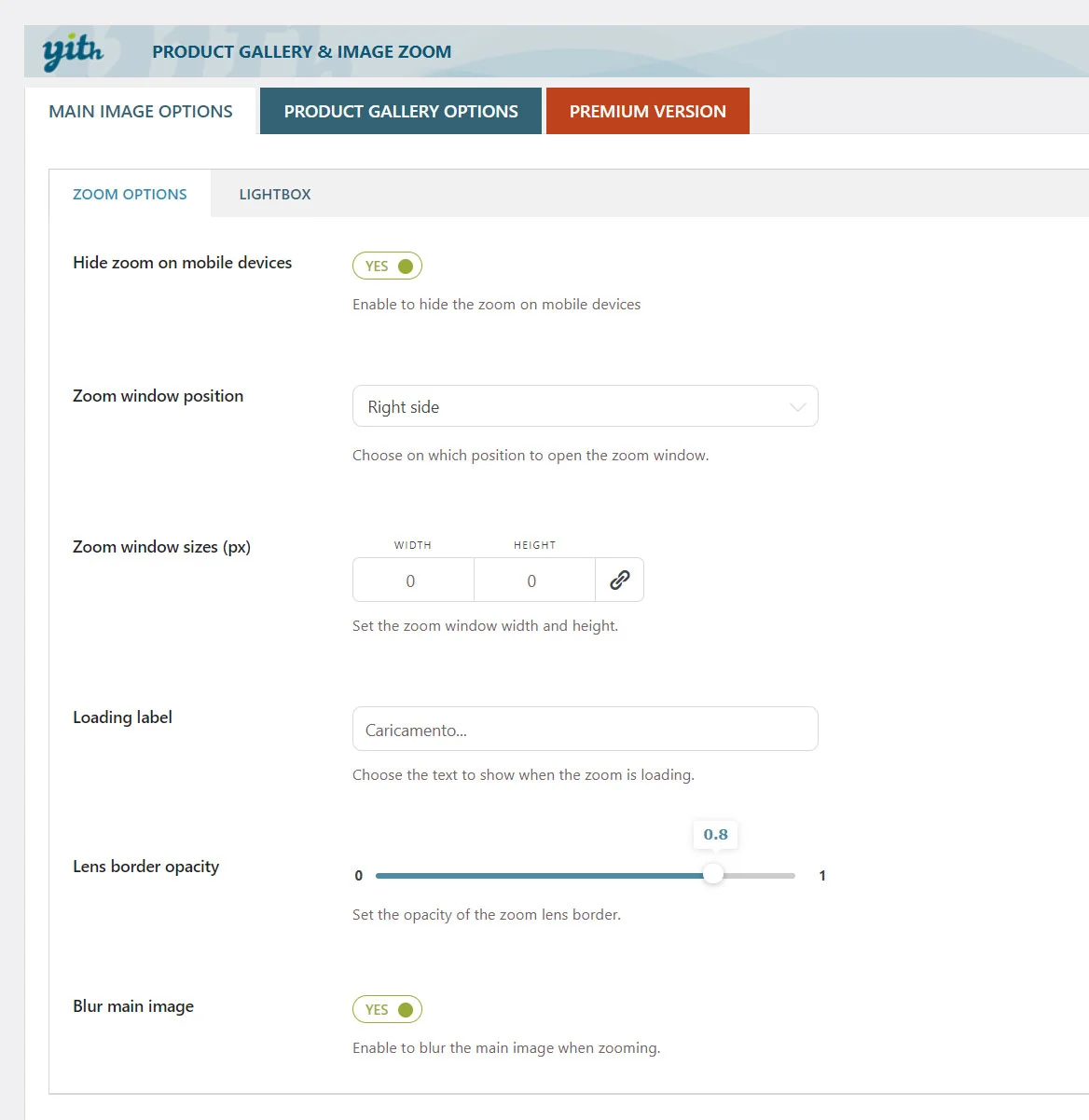 The Zoom settings page. You can disable the zoom features for mobile devices and configure the zoom options.