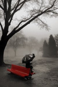 rainy-day