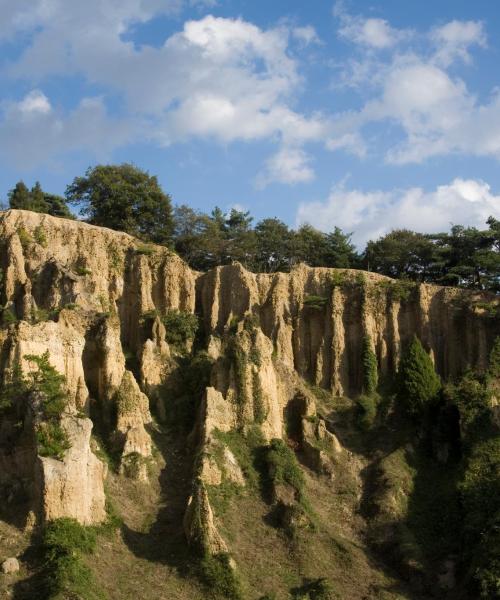 Een van de meest bezochte bezienswaardigheden in Tokushima.