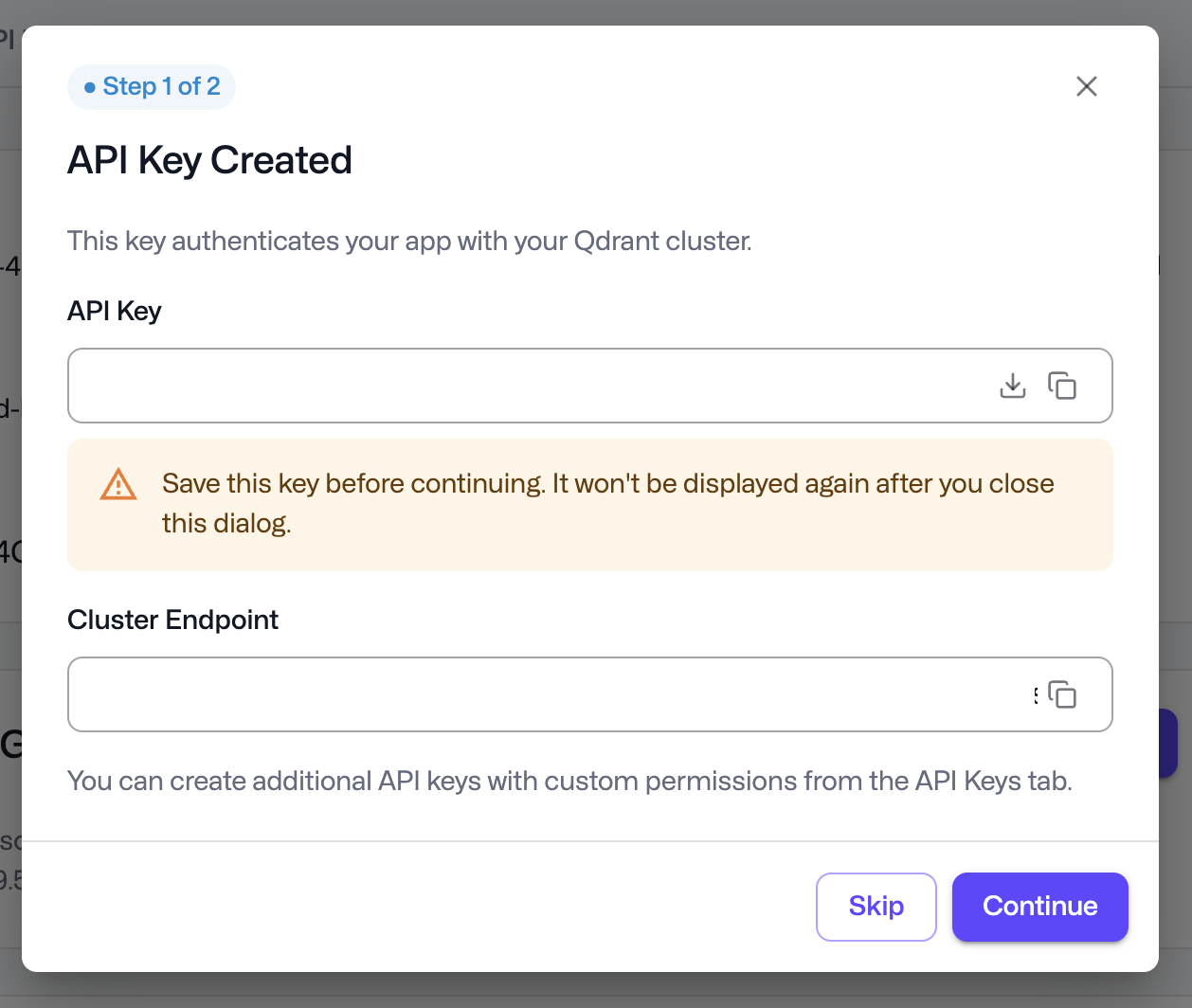 API Key