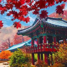 pagoda parkā ar rudens lapām