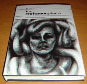 meta_hc_pic