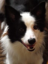 Riley