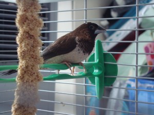 DSC06049
