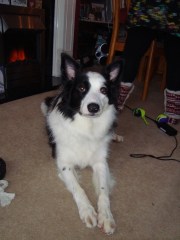 Riley