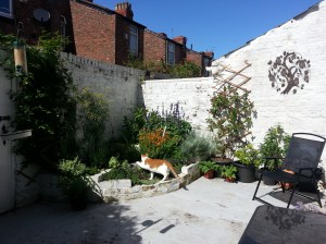 The garden 2015