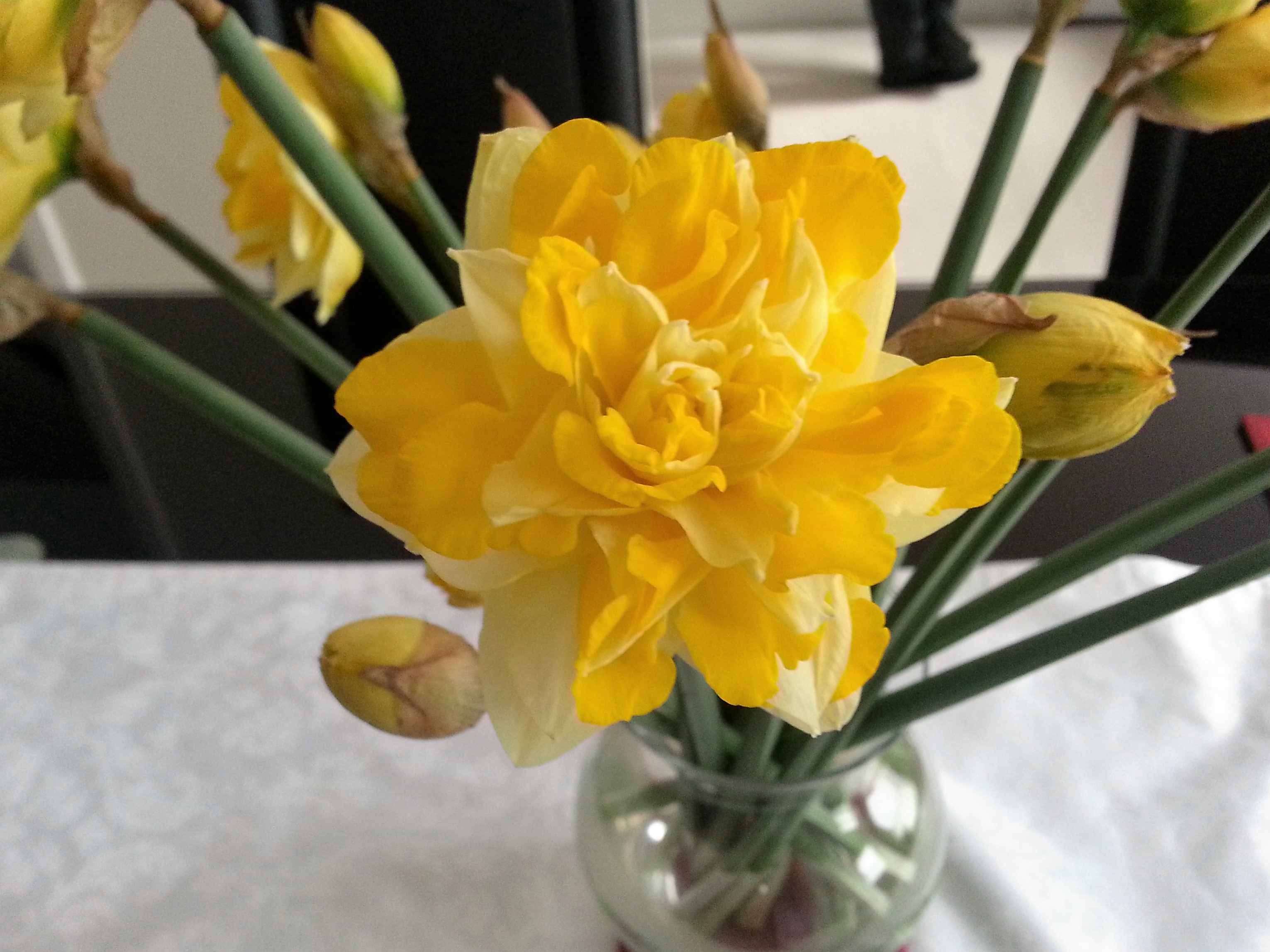 20160501_175739