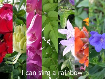 Sing a rainbow