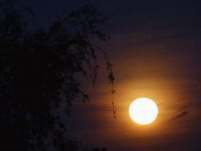 red-moon-011