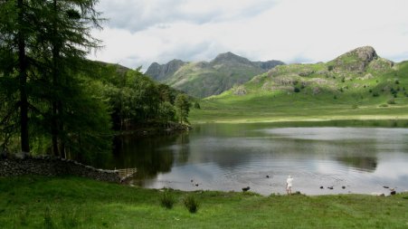 blea-tarn