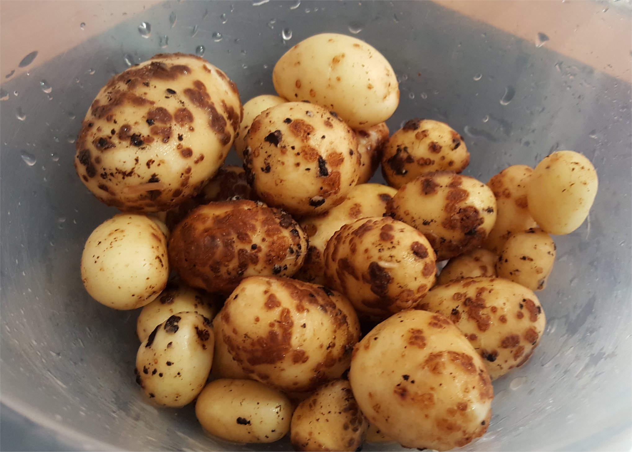 potatoes