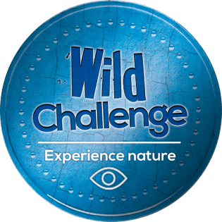 wild-challenge-blue-badge-experience
