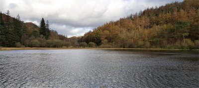 Yew Tree Tarn 1