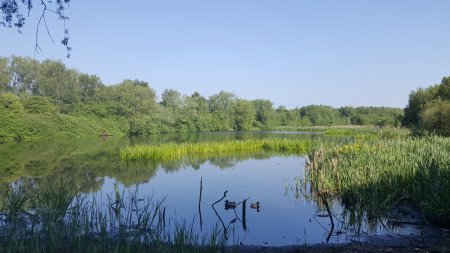 20180528_090000