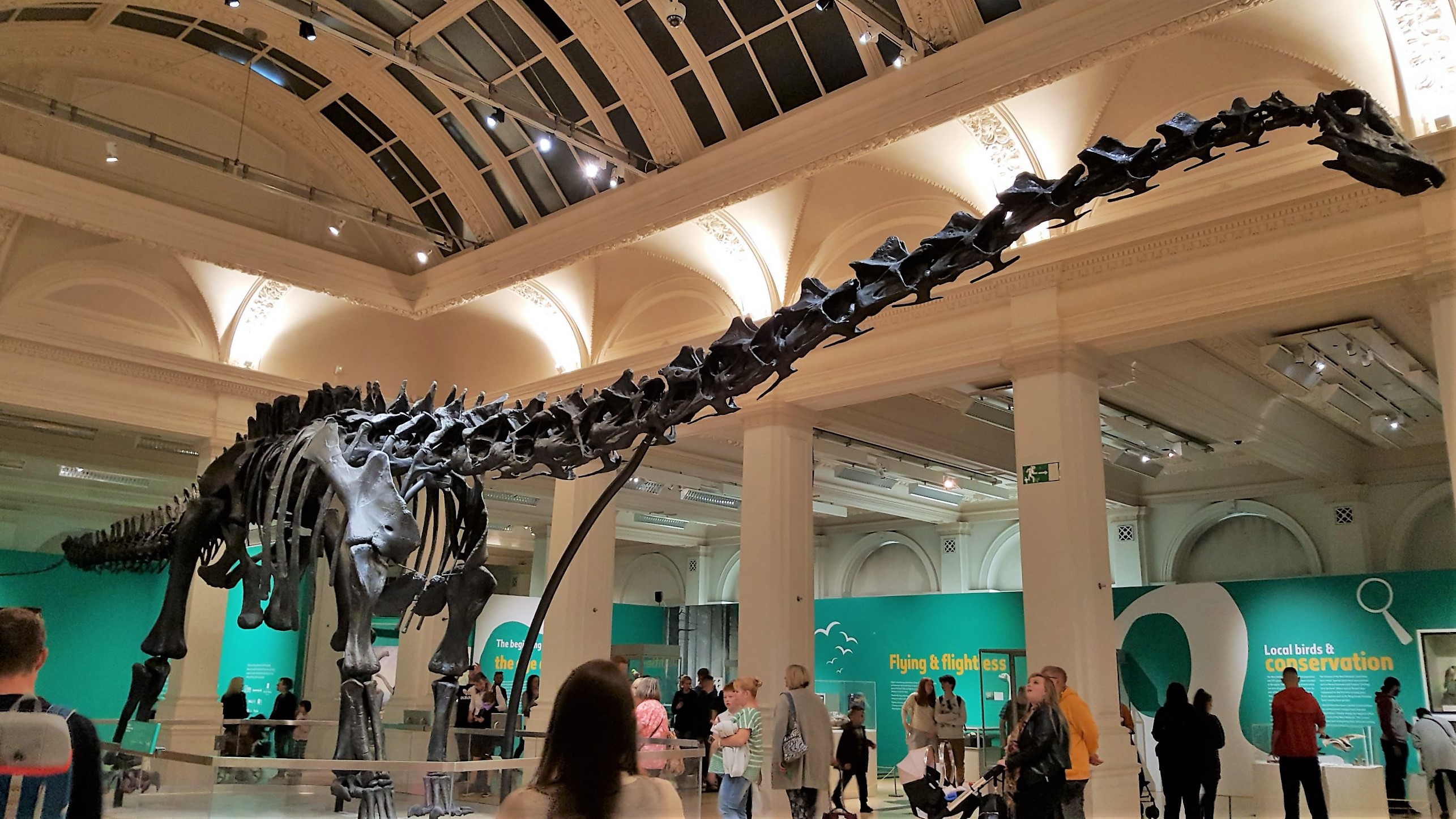 dippy2 (2)