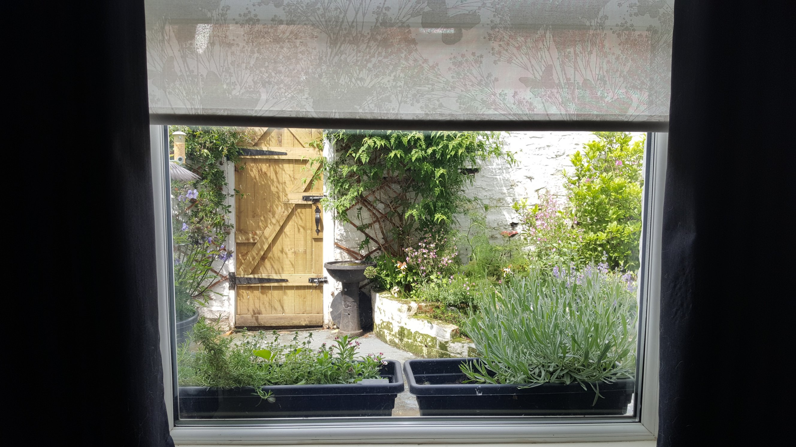 garden