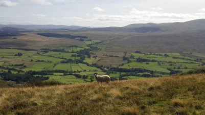 view (2)