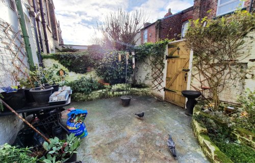 garden