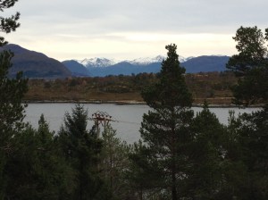 IMG_0798