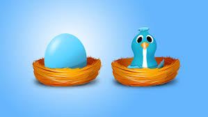 Twitter Bird Egg and Hatchling