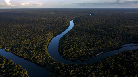 Biodiversity credits will be on the table for discussion at this month's UN biodiversity summit in Colombia