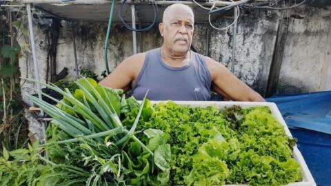 A favela resident with fresh produce collected from a Hortas Cariocas garden in Rio de Janeiro, June 13, 2022.