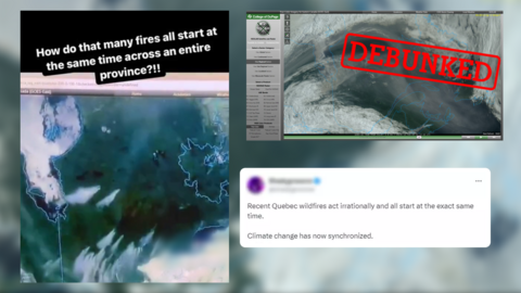 Some social media accounts have claimed that these satellite images, taken from the website of an American university, prove that the forest fires in Canada were set in a coordinated fashion.