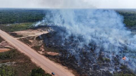 Imagen aérea de una zona de selva amazónica afectada por un incendio ilegal a orillas de la carretera BR-319 entre Porto Velho, estado de Rondonia, y Manaos, estado de Amazonas, norte de Brasil, el 22 de agosto de 2024.