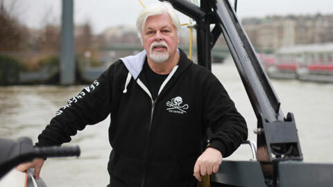 Paul Watson, fundador de la ONG Sea Shepherd y líder de la Fundación Paul Watson. 2015.