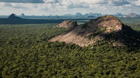 A Reserva Especial do Niassa é a maior área protegida de Moçambique, com cerca de 42 000 km quadrados. Vivem cerca de 60 000 pessoas das comunidades locais, juntamente com elefantes, leões, leopardos e rinocerontes entre outros. Em termos de protecção da biodiversidade, os desafios são grandes.