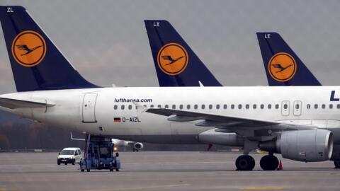 Les avions de la compagnie aérienne allemande Lufthansa.