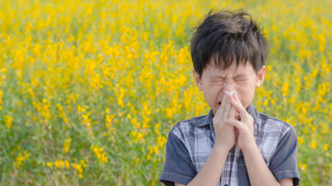 A alergia respiratória é a quarta doença crônica mais comum no mundo, segundo a Organização Mundial da Saúde, e deve atingir a metade da população mundial até 2050. 
