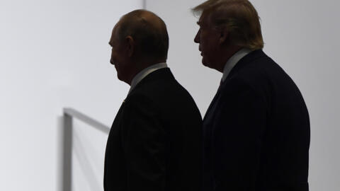 28 de junio de 2019, el presidente Donald Trump y el presidente ruso Vladimir Putin caminan para participar en una foto de grupo en la cumbre del G20 en Osaka, Japón.  (AP Photo/Susan Walsh, Archivo)
